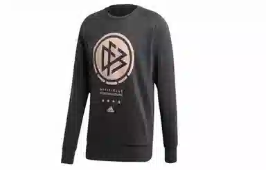 adidas Dfb Ssp Cr Swt Logo