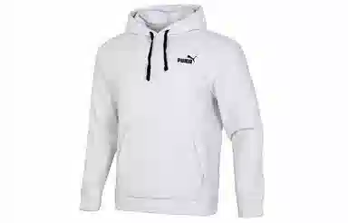 Puma Polar Fleece Hoodie Light Grey