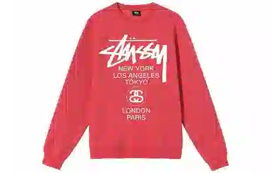 Stussy World Tour Logo