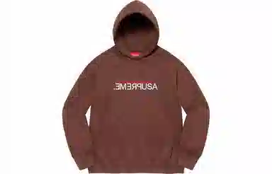 Supreme FW21 Week 9 USA Hooded Sweatshirt Logo