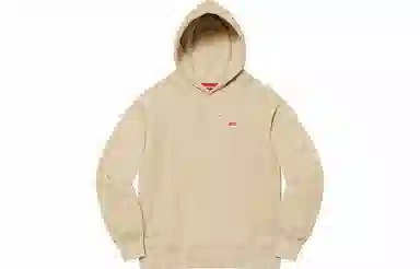 Supreme FW21 Week 8 Small Box Hooded Sweatshirt Logo