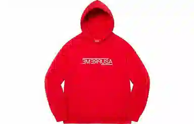 Supreme FW21 Week 9 USA Hooded Sweatshirt Logo