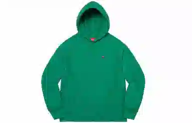 Supreme FW21 Week 8 Small Box Hooded Sweatshirt Logo