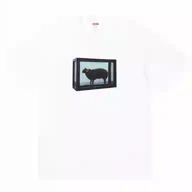 Supreme x Damien Hirst Tee