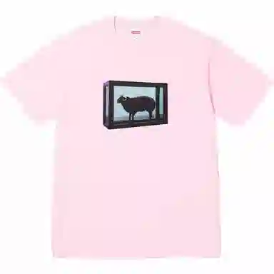 Supreme x Damien Hirst Tee
