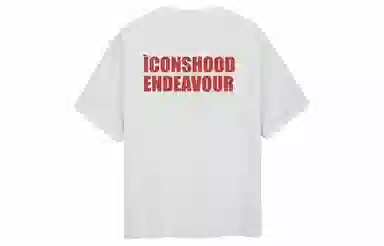 ICONS Lab T