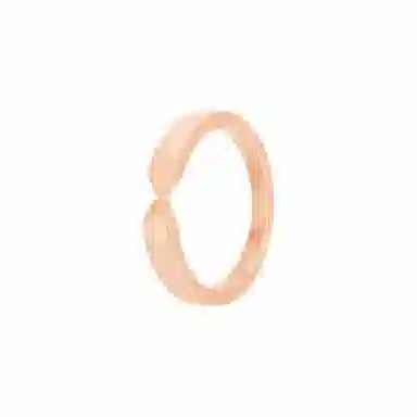 Chaumet Triomphe de Chaumet