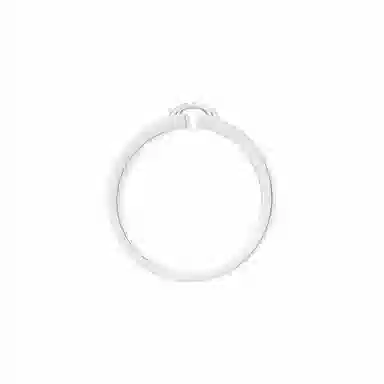 Chaumet Liens vidence