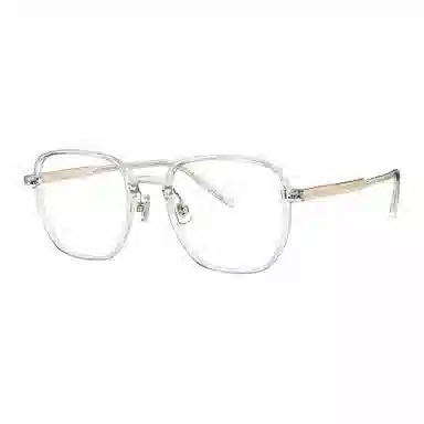 PARIM Optical Frame