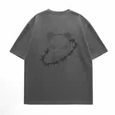 HIPANDA T