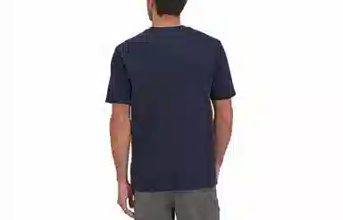 patagonia Alpine Icon LogoT