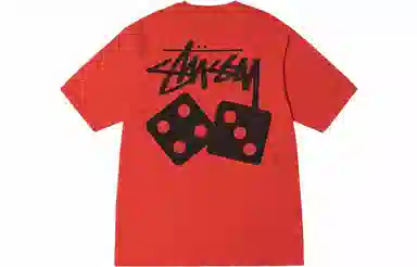 Stussy Dice Pigment Dyed Tee