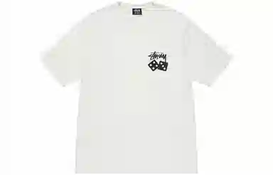 Stussy Dice Pigment Dyed Tee