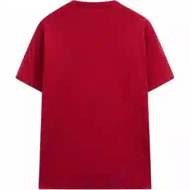 Massimo Dutti T
