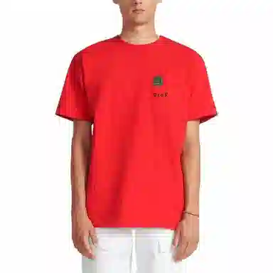 DIOR SS24 LogoT