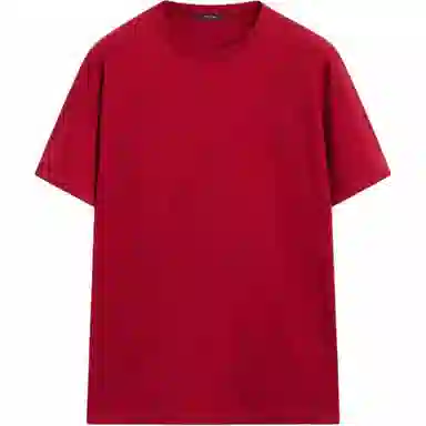 Massimo Dutti T