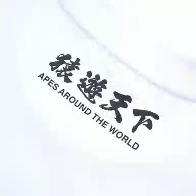 A BATHING APE FW23 T-Shirt