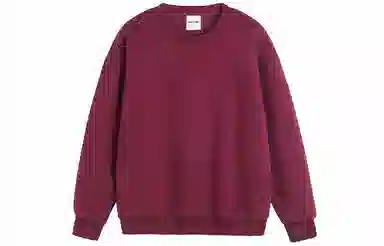 BEETLE TOWN Basic Pullover Hoodie