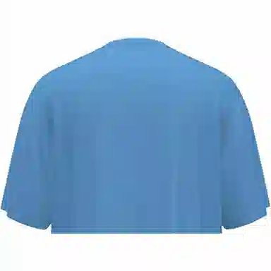 Dickies LogoT