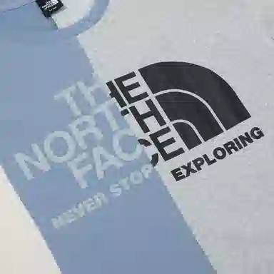 THE NORTH FACE T