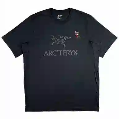 Arcteryx T