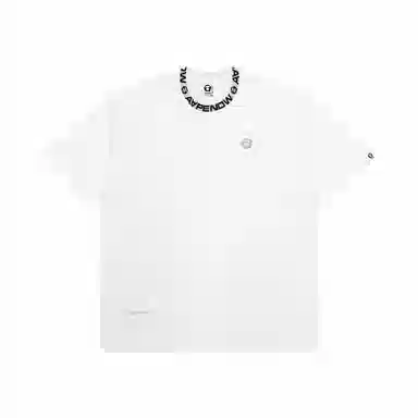 Aape T