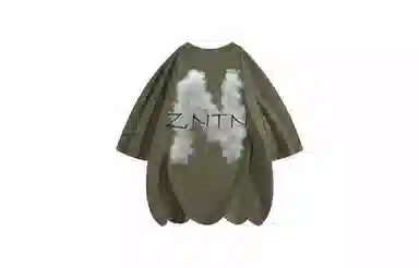 ZNTN T