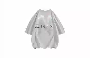 ZNTN T