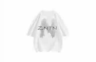 ZNTN T