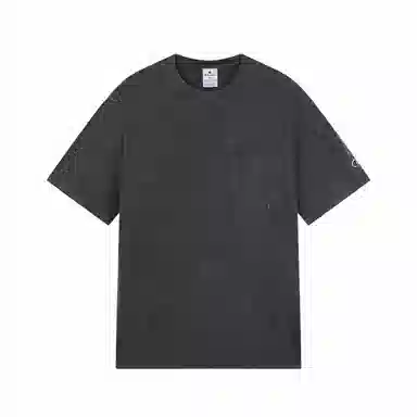 Champion SS25 Mineral Dye T