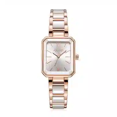 JULIUS JL 30 JW1-273A