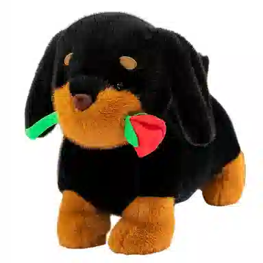 Tak bebe 35cm50cm65cm