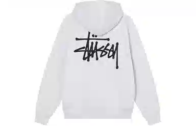 Stussy SS22 Basic Stussy Zip Hood Logo