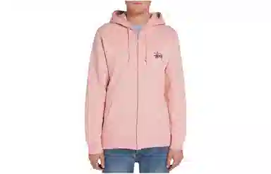 Stussy SS22 Basic Stussy Zip Hood Logo
