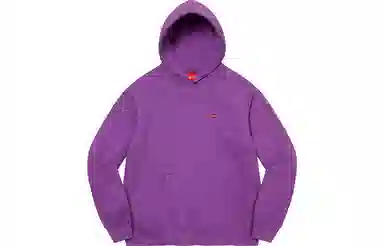 Supreme SS22 Week 1 Small Box Hooded Sweatshirt Box Logo