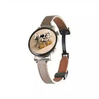 IOTS 235mm gt4gt5gt32WatchMagic