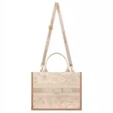 DIOR BookTote Tote