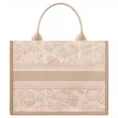 DIOR BookTote Tote