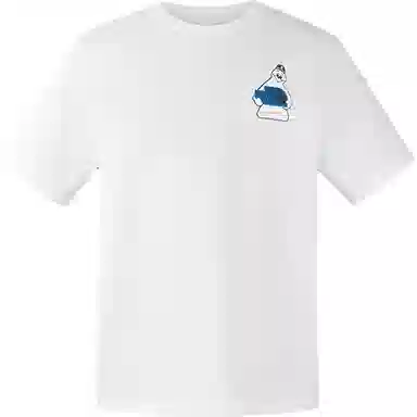 THE NORTH FACE T