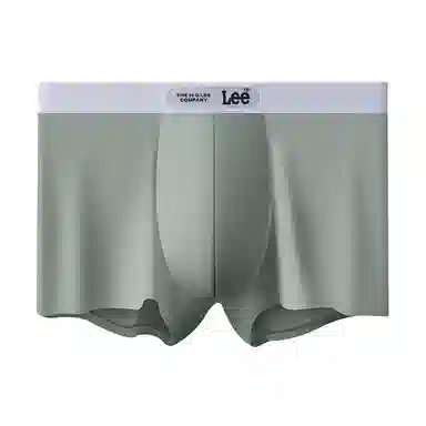 Lee 3.0 7A 1
