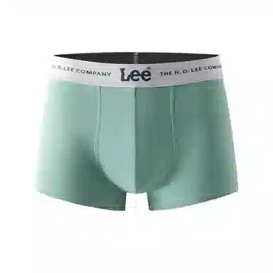 Lee 1