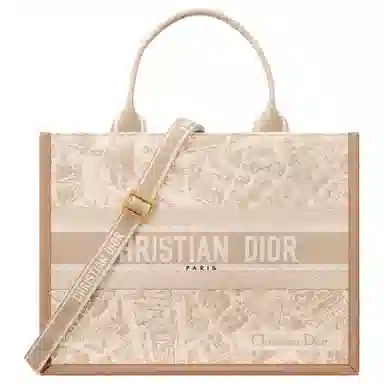 DIOR BookTote Tote
