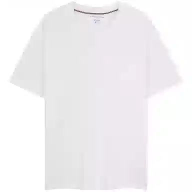 Tommy Hilfiger T