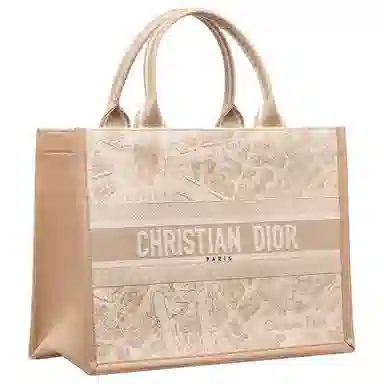 DIOR BookTote Tote