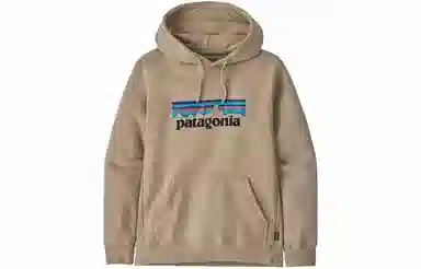 Patagonia Fitz Roy Logo Hoodie