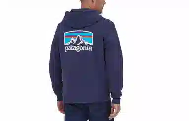 Patagonia Fitz Roy Logo Hoodie