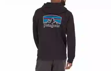 Patagonia Fitz Roy Logo Hoodie