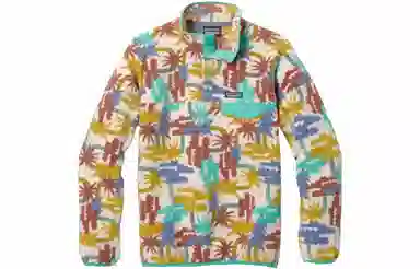 patagonia W's Synchilla Snap-T Pullover