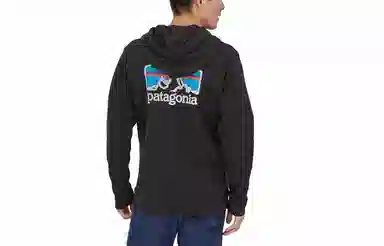 Patagonia Fitz Roy Logo Hoodie