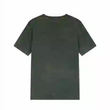 Champion SS25 Mineral Dye T